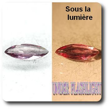 0.74 cts GRENAT COULEUR CHANGEANTE. VVS1