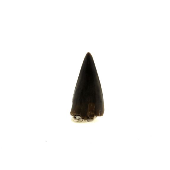 Dent de Requin. 2.53 ct.