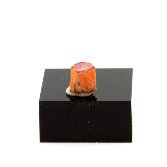 Corail rouge. 1.30 ct.