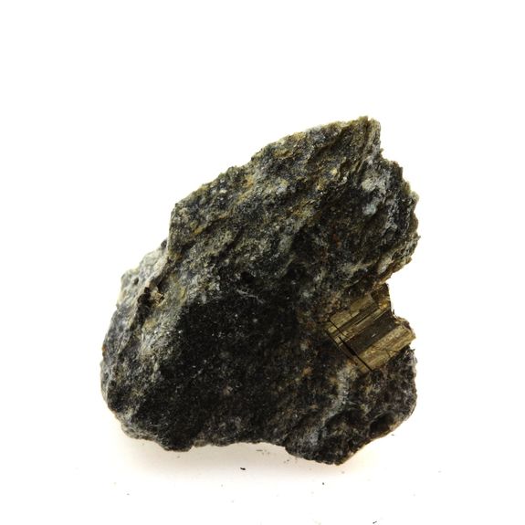 Pyrite Slate. 14.9 ct.