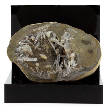 Celestine in Septaria.