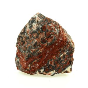 Jaspe Léopard. 200.4 ct.