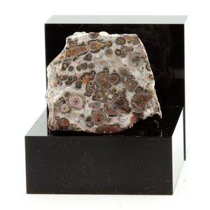 Jaspe Léopard. 270.2 ct.