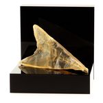 Gypse Fer de Lance. 140.2 ct.