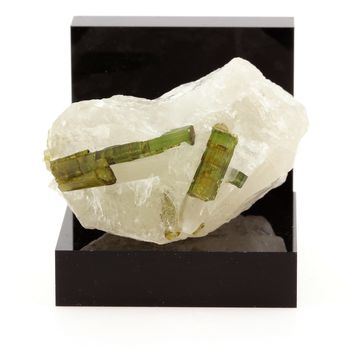 Tourmaline Elbaite sur Quartz. 270.1 ct.