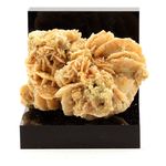 Gypse (Rose des Sables). 360.3 ct.