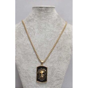 Vintage enamelled steel lion head jewelry