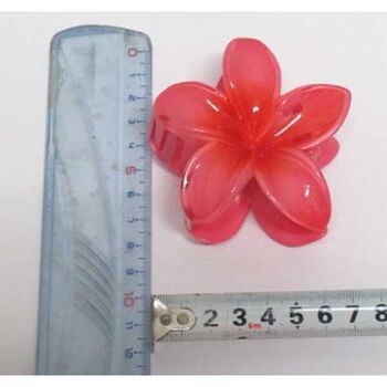 Pince à cheveux fleurs degrade Lot de 12Pcs