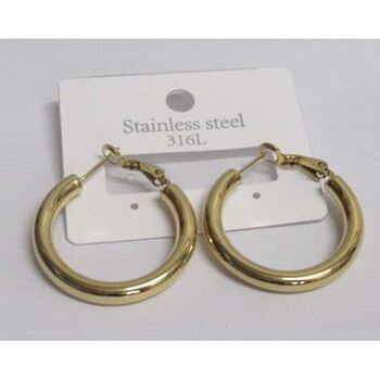 jewelry earrings small steel hoops