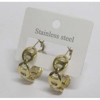Bijoux boucles d'oreilles créoles graine de cafe acier doré