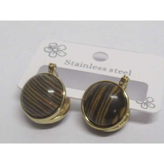 steel tiger's eye stud earrings