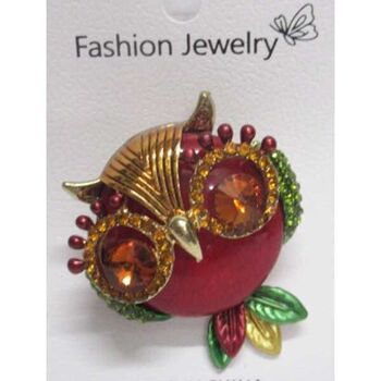 jewelry owl brooch color big eyes