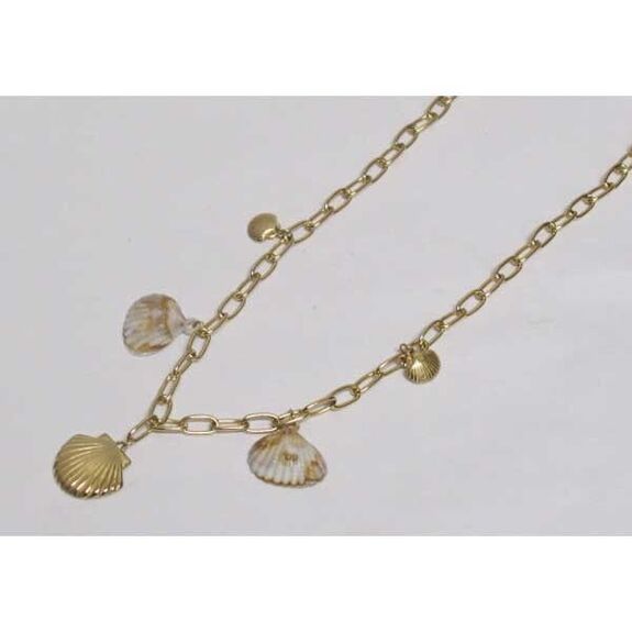 Steel jewelry with a seashell pendant