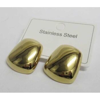 Raneem steel earrings