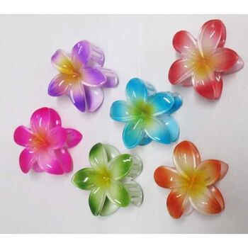 Pince à cheveux hibiscus Lot de 12Pcs