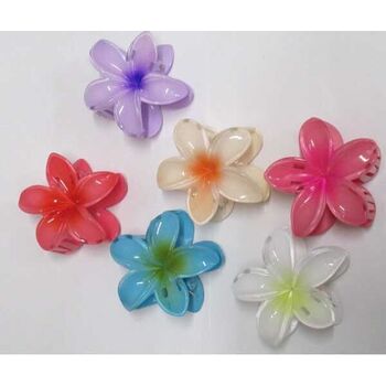 Pince à cheveux fleurs degrade Lot de 12Pcs