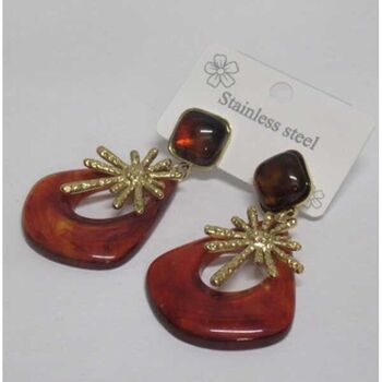 jewelry earrings resin steel rays