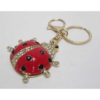 porte clé coccinelle rouge points noir