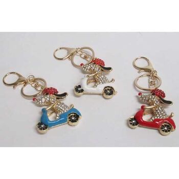 Dog bag jewelry on scooter