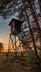 Aména'Chasse, votre comptoir cynégétique Normand