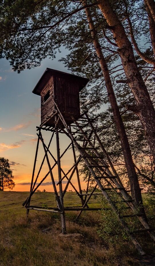 Aména'Chasse, votre comptoir cynégétique Normand