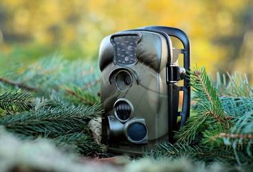 Caméras et pièges photo