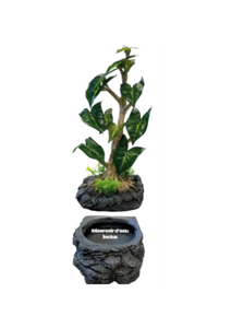 Repto Water humidificateur / abreuvoir pour terrarium - Grand réservoir