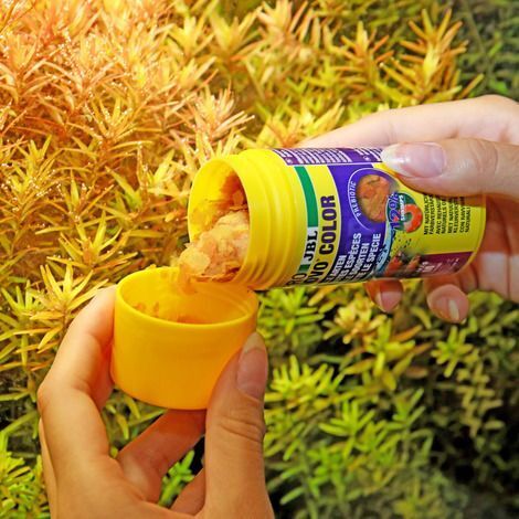 JBL PRONOVO COLOR FLAKES M 100ml -Aliment spécial couleur en flocons , taille M, pour tous poissons d’ornement de 8 à 20 cm