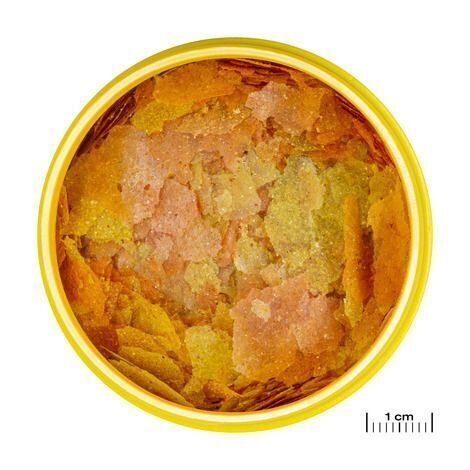 JBL PRONOVO COLOR FLAKES M 250ml -Aliment spécial couleur en flocons , taille M, pour tous poissons d’ornement de 8 à 20 cm