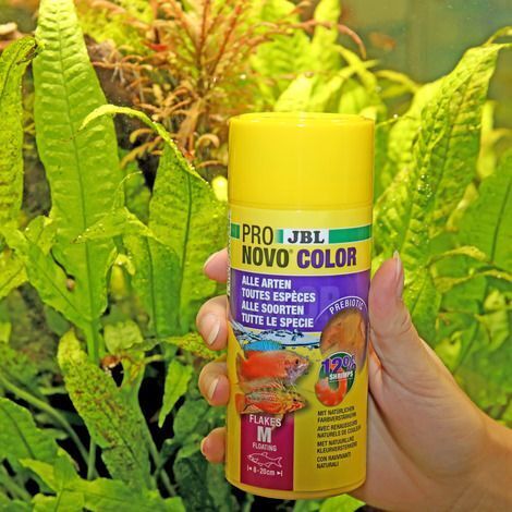 JBL PRONOVO COLOR FLAKES M 250ml -Aliment spécial couleur en flocons , taille M, pour tous poissons d’ornement de 8 à 20 cm
