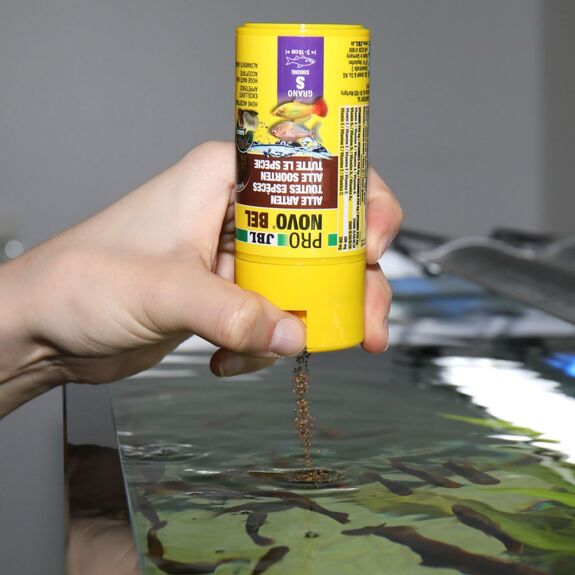 JBL PRONOVO COLOR GRANO S 100ml - Aliment spécial couleur en granulés pour des couleurs vives chez tous les poissons d’aquarium de 3 à 10 100ml