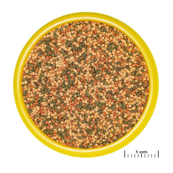 JBL PRONOVO COLOR GRANO M 250ml - Aliment spécial couleur en granulés pour des couleurs vives chez tous les poissons d’aquarium de 8 à 20 cm