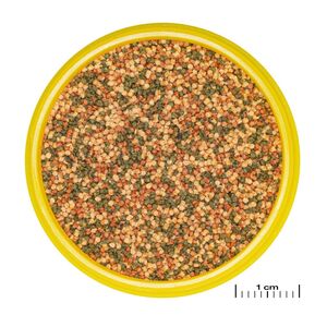 JBL PRONOVO COLOR GRANO M 250ml - Aliment spécial couleur en granulés pour des couleurs vives chez tous les poissons d’aquarium de 8 à 20 cm