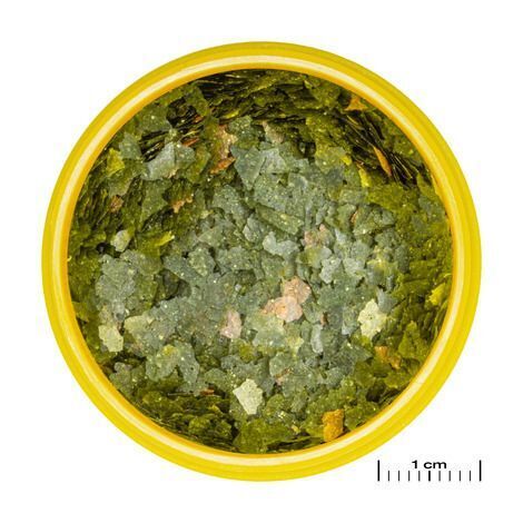 JBL PRONOVO GUPPY FLAKES S 100ml Aliment de base en flocons, taille S, pour guppys et autres poissons ovovivipares de 3 à 10 cm