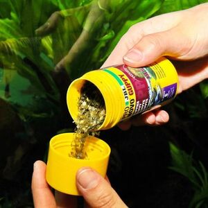 JBL PRONOVO GUPPY FLAKES S 100ml Aliment de base en flocons, taille S, pour guppys et autres poissons ovovivipares de 3 à 10 cm