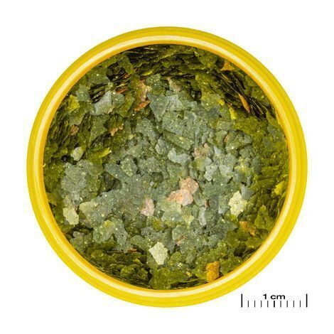 JBL PRONOVO GUPPY FLAKES S 250ml Aliment de base en flocons, taille S, pour guppys et autres poissons ovovivipares de 3 à 10 cm