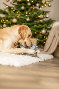 Peluche hibou de noël avec corde pour chien - cadeaux
