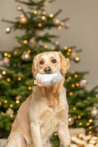 Peluche pingouin de noël avec corde pour chien - cadeaux