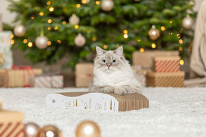 Griffoir pour noël - griffoir carton résistant pour chat - TRIXIE
