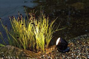 Pontec - PondoStar LED Set 3 - projecteurs LED pour bassin