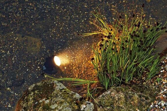 Pontec - PondoStar LED Set 3 - projecteurs LED pour bassin