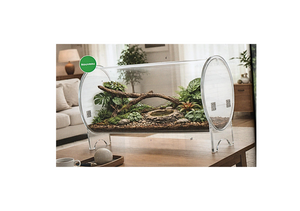 REPTO TERRA CLEAR CYLINDER 40X25X25 idéal pour phidippus, mante religieuse ...