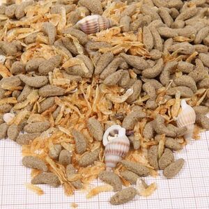 JBL PROTERRA MOLLUSCUS Escargots entiers, gammares et bâtonnets au poisson pour diversifier l’alimentation de toutes les tortues d’eau et cistudes