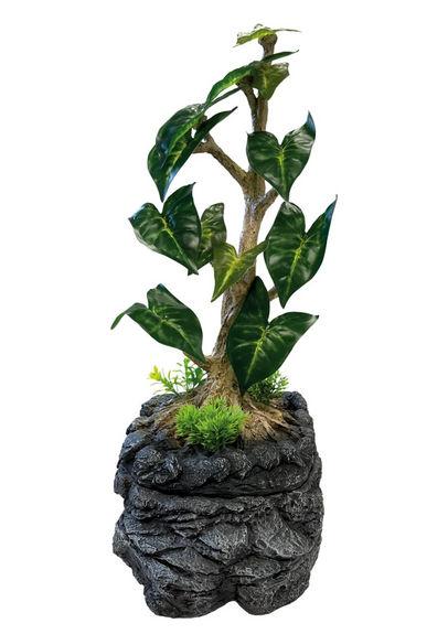 Repto Water humidificateur / abreuvoir pour terrarium - Grand réservoir