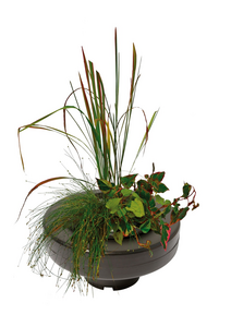 Panier de Plantation Flottant ROND Diamètre 30 cm