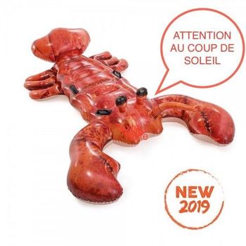 HOMARD 3D