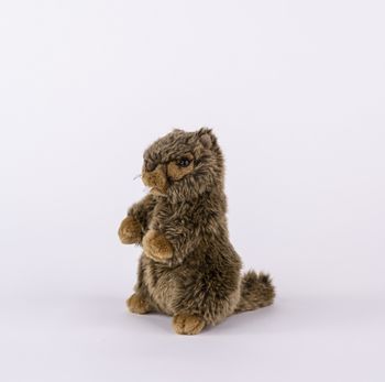 Peluche Marmotte 18 cm