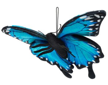 Peluche Papillon Morpho Bleu 27 cm