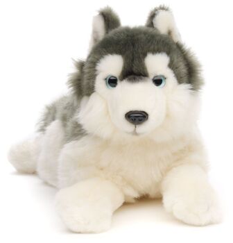 Peluche Husky couché 30 cm