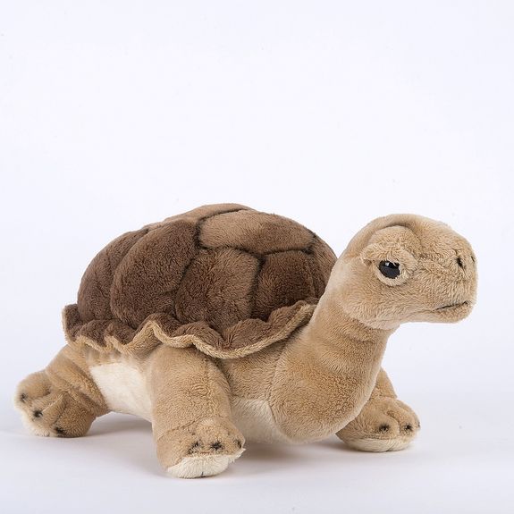 Doudou Tortue Plat - 25 Cm - Boutique Tortue Doudou Tortue Plat - 25 Cm - Boutique Tortue